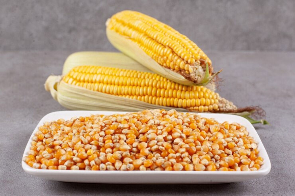 Corn/Maize