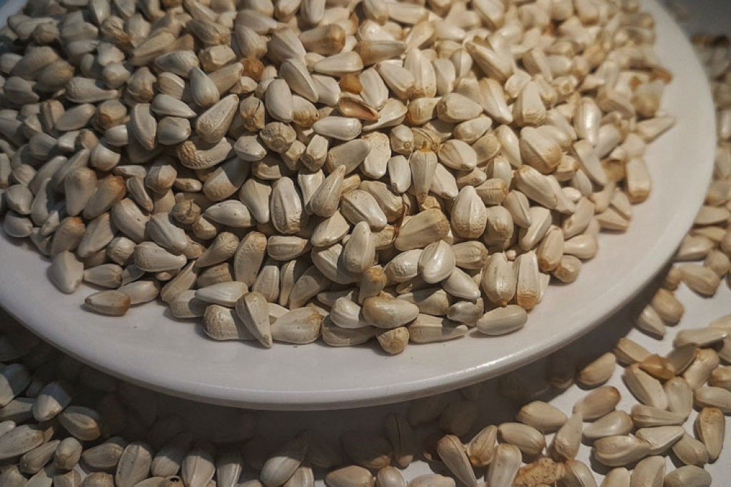 Safflower Seeds